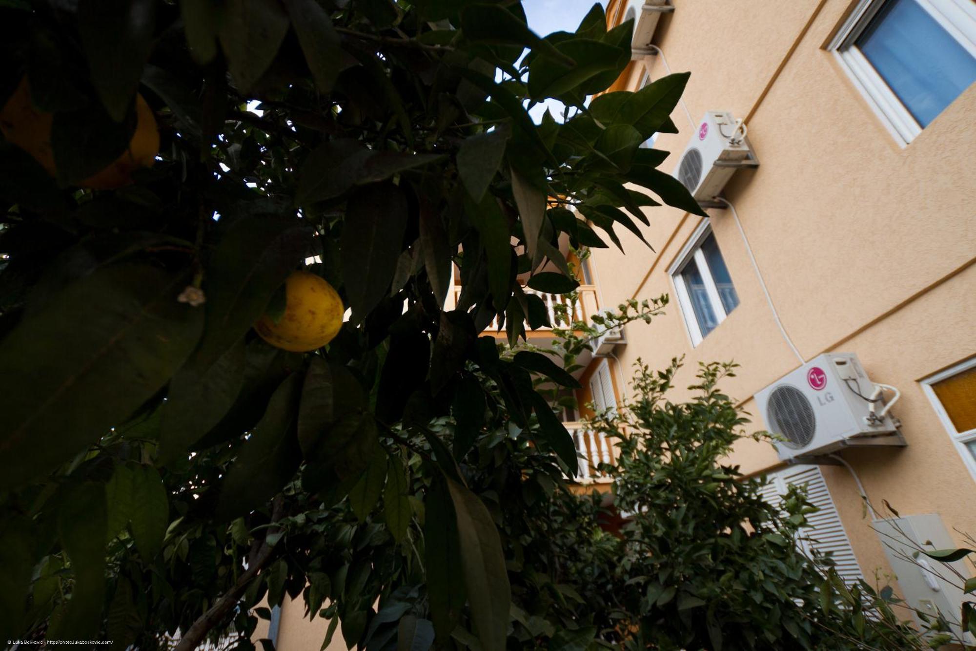 Apartments Dalila Ulcinj Buitenkant foto